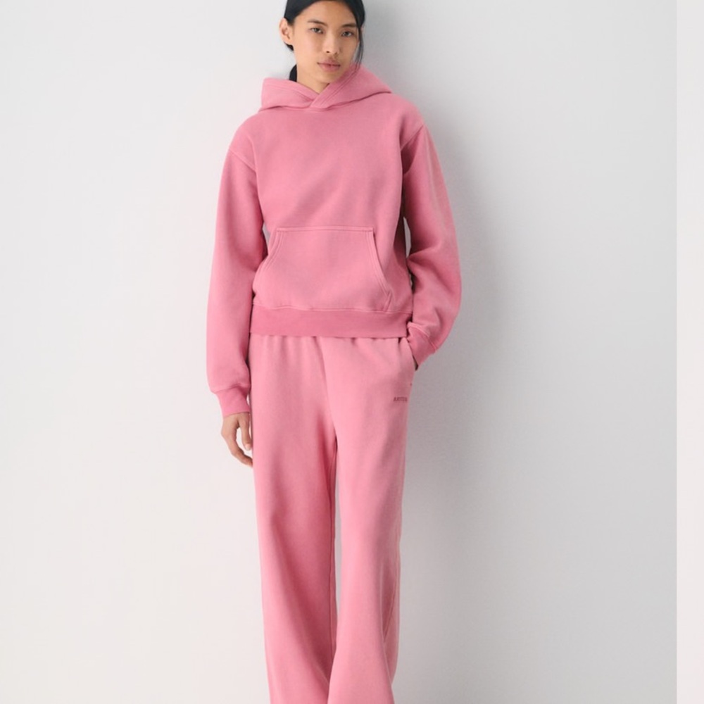Aritzia Oversized Dusty Rose Comfy Hoodie- NWT